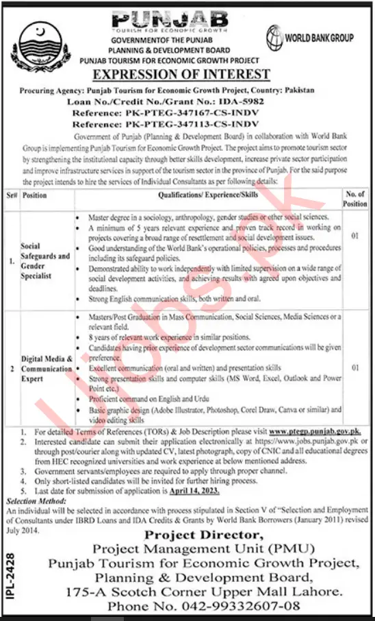 Planning and Development Board Punjab Jobs 2023 - Official Advertisement