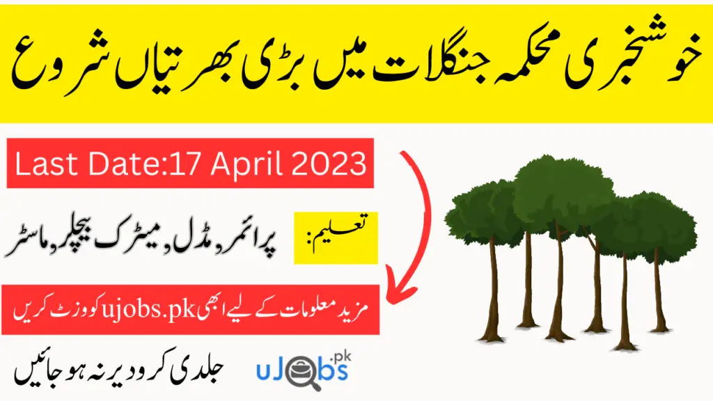 Forest & Wildlife Department Rawalakot Jobs 2023